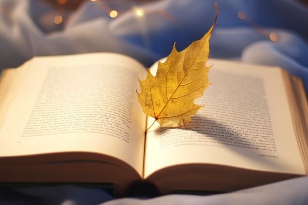 贵州师范大学中外合作办学分数线 贵州最低分二本大学-贵州分数最低的本科大学公办（文理科）