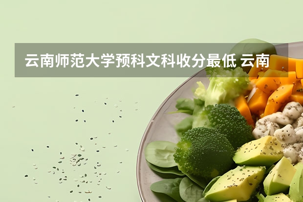 云南师范大学预科文科收分最低 云南省预科升学录取分数线