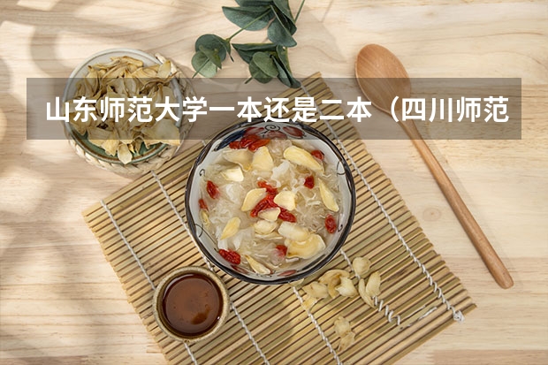山东师范大学一本还是二本（四川师范大学是一本还是二本）