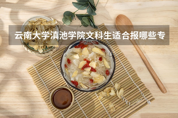 云南大学滇池学院文科生适合报哪些专业？