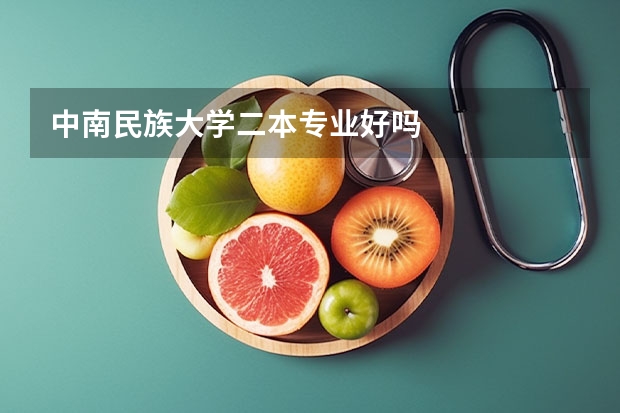 中南民族大学二本专业好吗