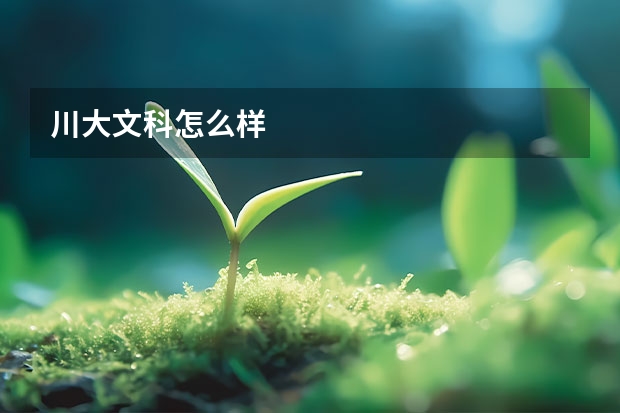 川大文科怎么样