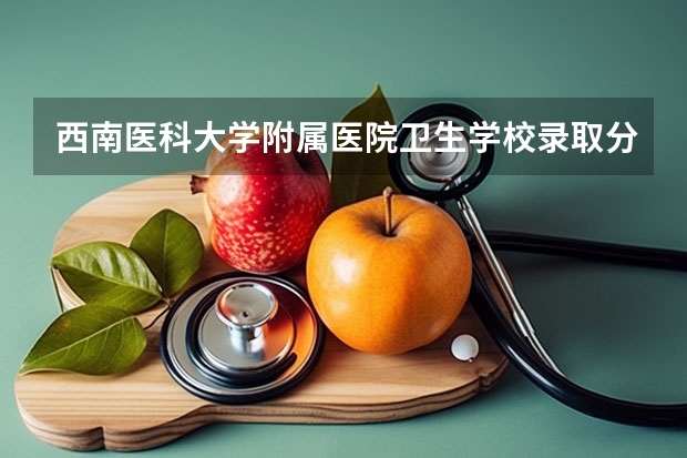 西南医科大学附属医院卫生学校录取分（西南医科大学录取分数线）