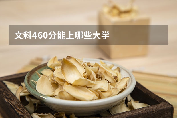 文科460分能上哪些大学
