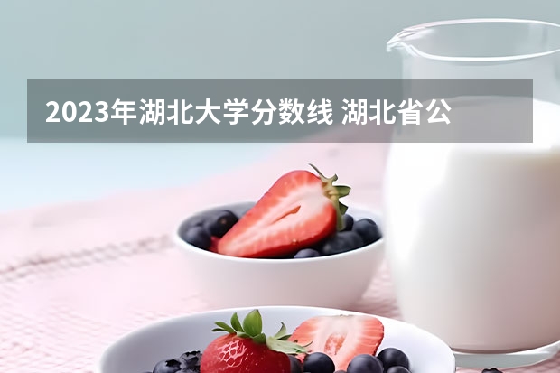 2023年湖北大学分数线 湖北省公办二本排名及分数线