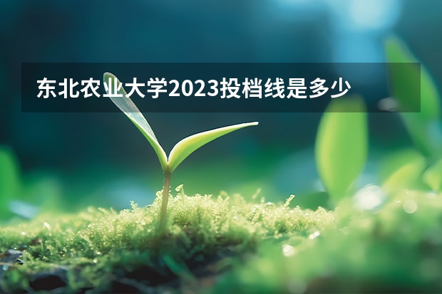 东北农业大学2023投档线是多少