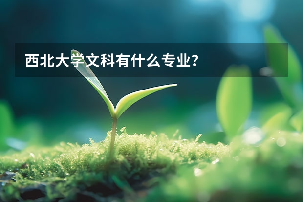 西北大学文科有什么专业？