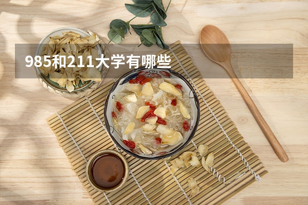 985和211大学有哪些