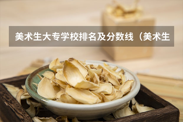 美术生大专学校排名及分数线（美术生报考学校排名及分数线）