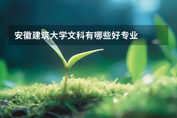 安徽建筑大学文科有哪些好专业