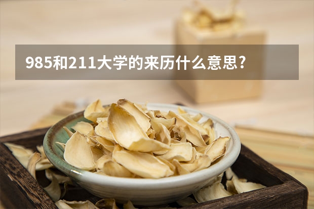 985和211大学的来历什么意思?