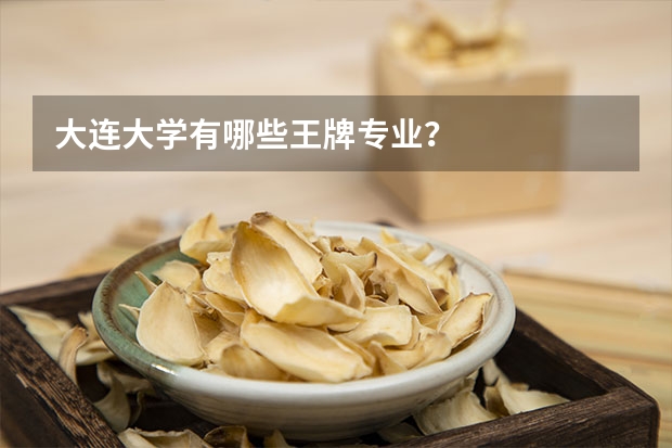 大连大学有哪些王牌专业？