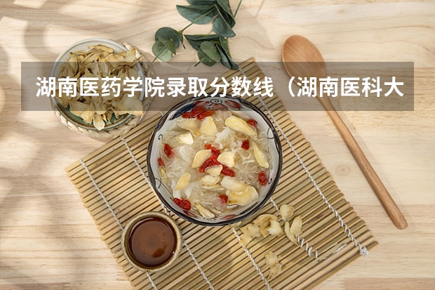 湖南医药学院录取分数线（湖南医科大学录取分数线）