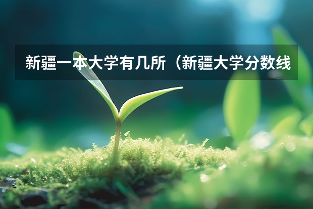 新疆一本大学有几所(新疆大学分数线)