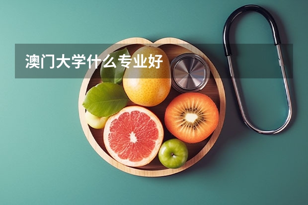 澳门大学什么专业好