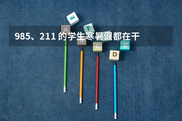 985、211 的学生寒暑假都在干什么？