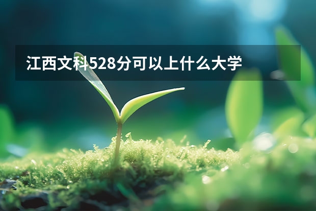 江西文科528分可以上什么大学