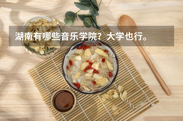 湖南有哪些音乐学院?大学也行。