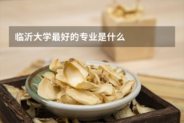 临沂大学最好的专业是什么