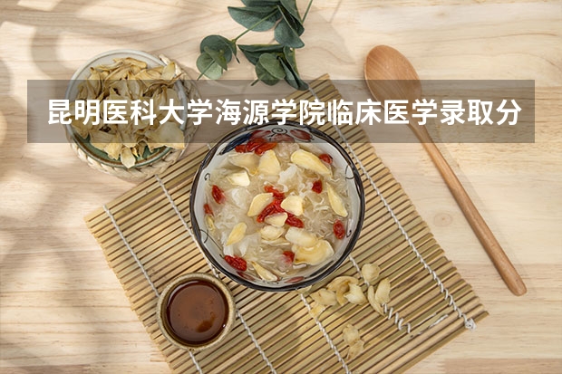 昆明医科大学海源学院临床医学录取分数线（昆明医科大学考研录取分数线）