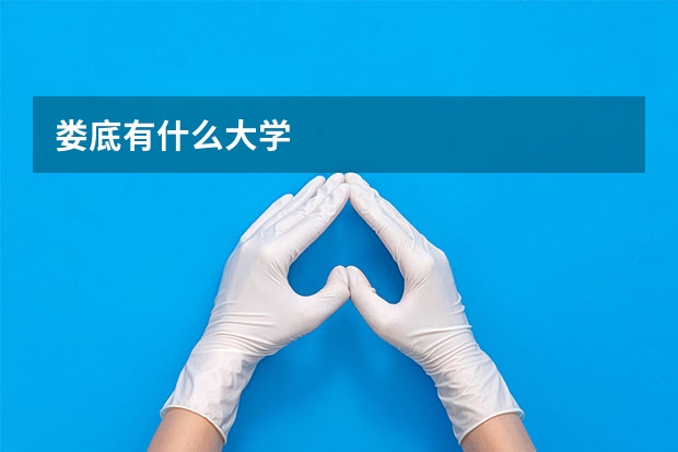 娄底有什么大学