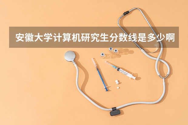 安徽大学计算机研究生分数线是多少啊？