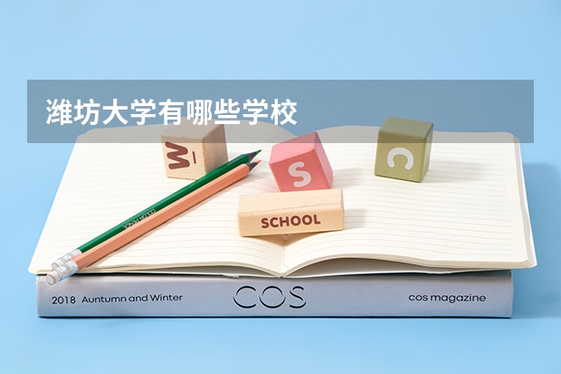 潍坊大学有哪些学校