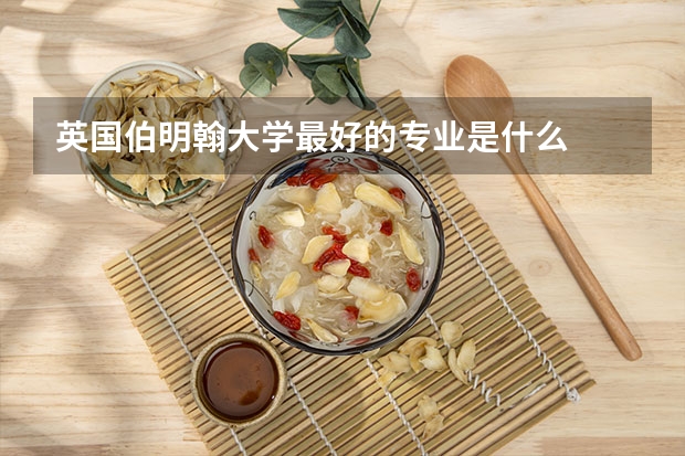 英国伯明翰大学最好的专业是什么
