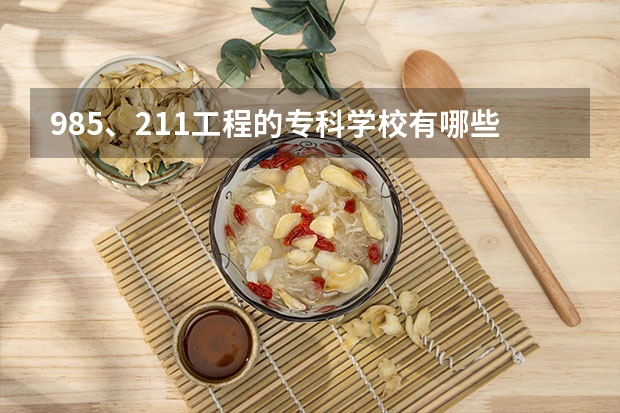 985、211工程的专科学校有哪些