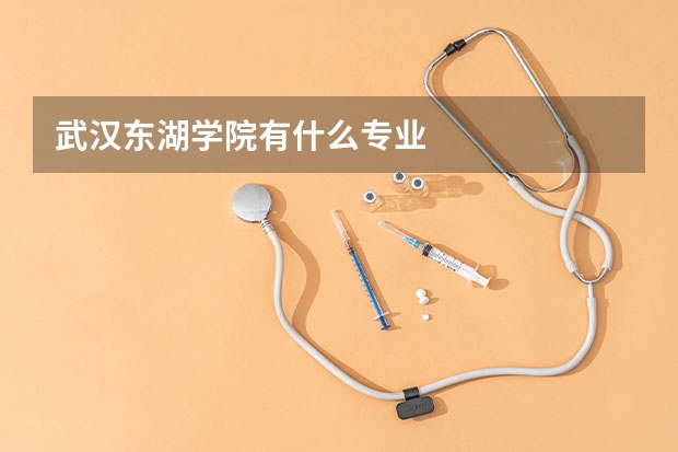 武汉东湖学院有什么专业