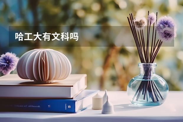 哈工大有文科吗