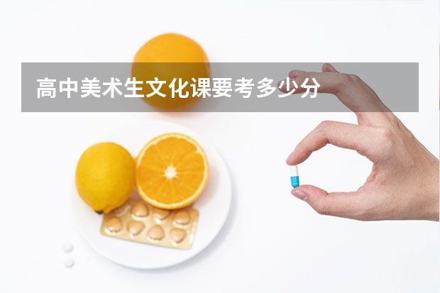 高中美术生文化课要考多少分