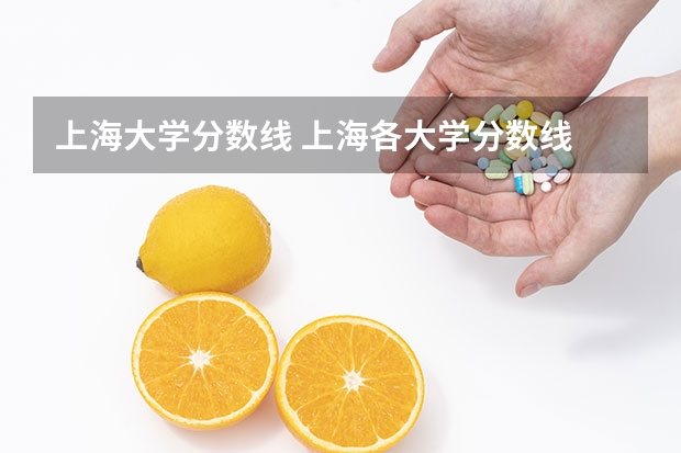 上海大学分数线 上海各大学分数线
