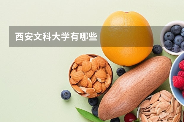 西安文科大学有哪些