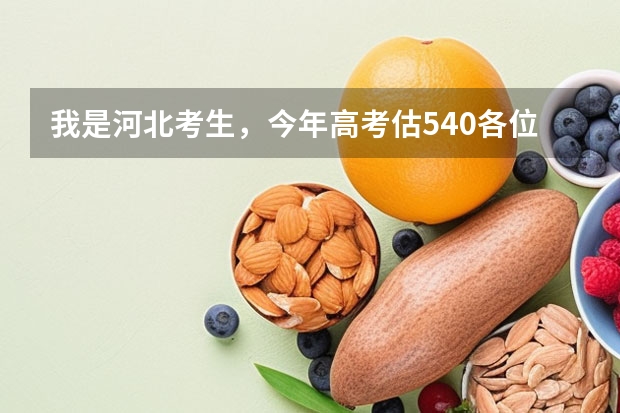 我是河北考生,今年高考估540各位大哥大姐们觉得我能报什么学校