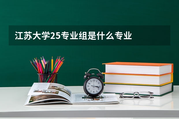 江苏大学25专业组是什么专业