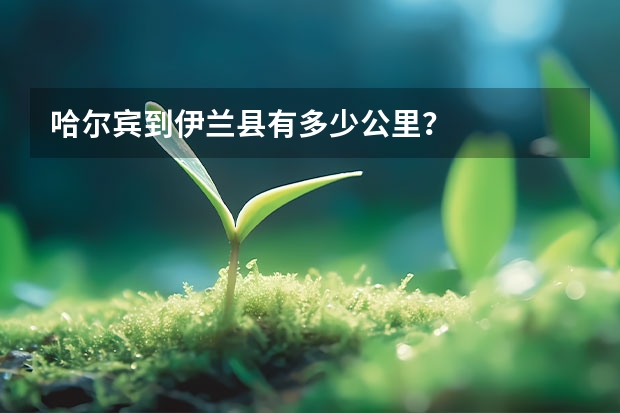 哈尔宾到伊兰县有多少公里?