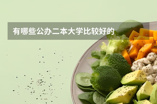 有哪些公办二本大学比较好的