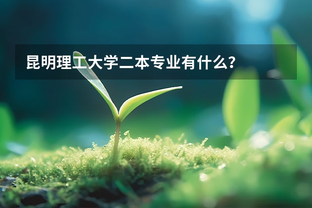 昆明理工大学二本专业有什么？