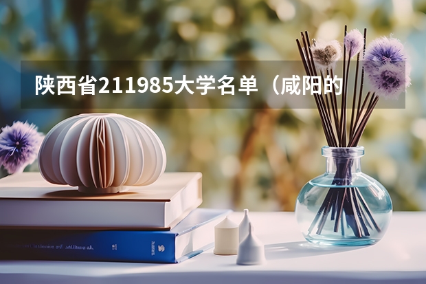 陕西省211985大学名单（咸阳的985大学名单）