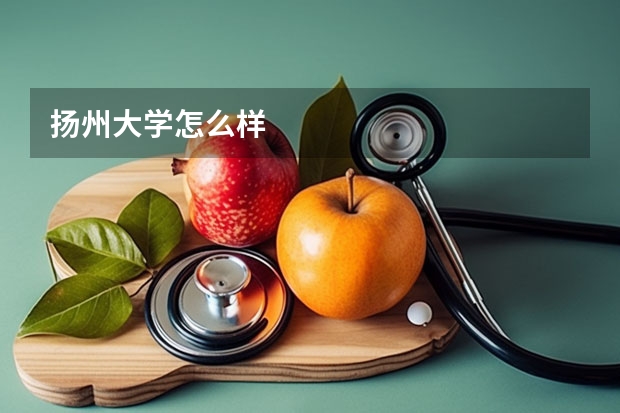 扬州大学怎么样