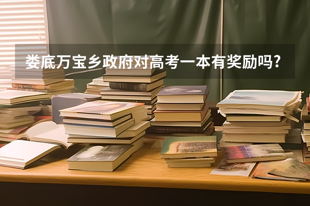 娄底万宝乡政府对高考一本有奖励吗?