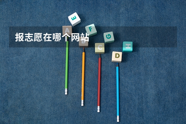 报志愿在哪个网站