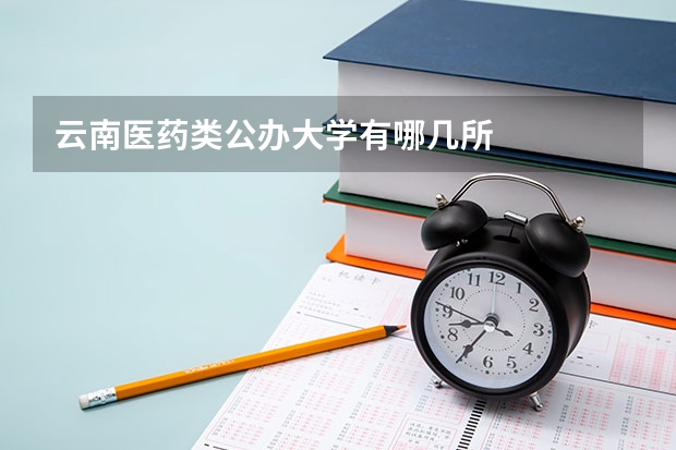 云南医药类公办大学有哪几所