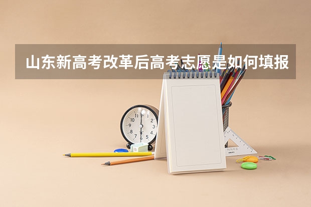 山东新高考改革后高考志愿是如何填报的？