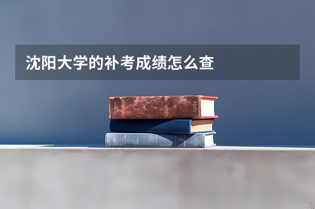 沈阳大学的补考成绩怎么查