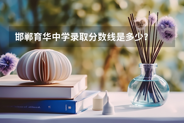 邯郸育华中学录取分数线是多少？