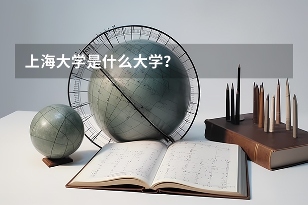 上海大学是什么大学？