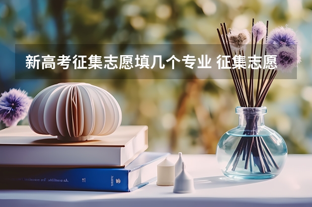 新高考征集志愿填几个专业 征集志愿可以报几个学校