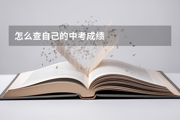 怎么查自己的中考成绩